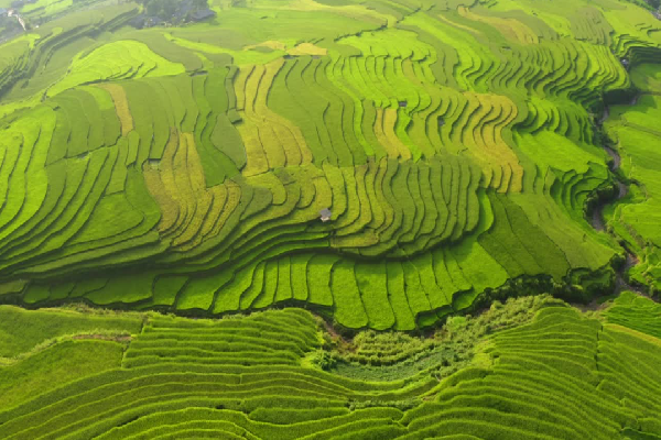 Mu Cang Chai Tour 3 Days - photo 46
